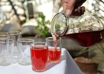 Del siglo XIX a tu mesa: La carrera de los tragos típicos chilenos