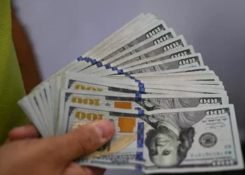 Gobierno argentino anuncia intervención en mercado cambiario para ocupar el dólar