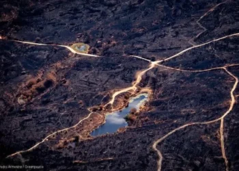 El variación climático multiplicó por 40 las condiciones que avivaron los incendios en España