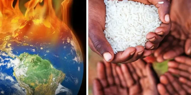 Al rojo vivo: los dos países de América Latina que más padecerán el modificación climático