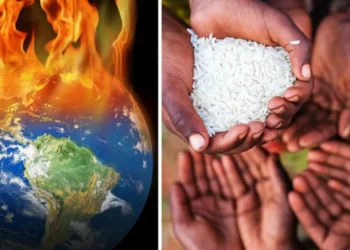 Al rojo vivo: los dos países de América Latina que más padecerán el modificación climático