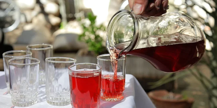 Del siglo XIX a tu mesa: La biografía de los tragos típicos chilenos