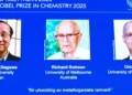 Nobel de Química premia investigaciones sobre nuevas estructuras moleculares