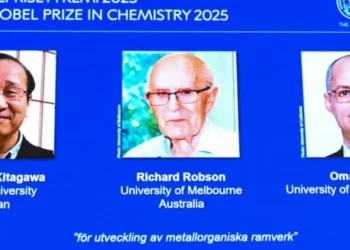 Nobel de Química premia investigaciones sobre nuevas estructuras moleculares