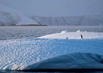 Sismo de 7,8 grados de alcance se registra en el mar entre Sudamérica y la Antártida