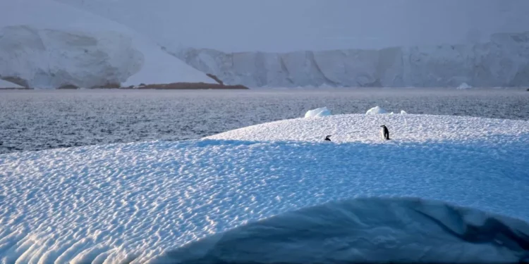 Sismo de 7,8 grados de alcance se registra en el mar entre Sudamérica y la Antártida