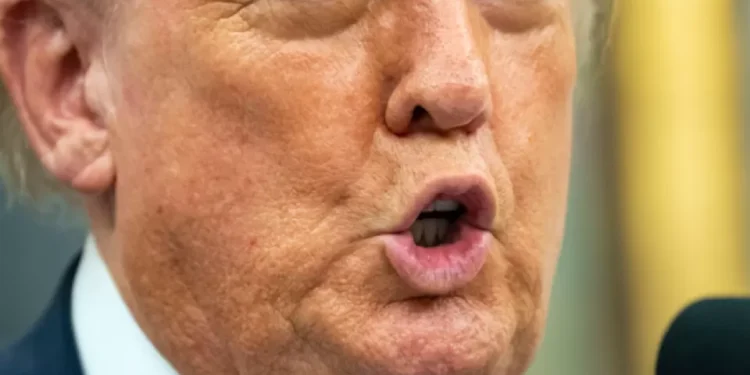 EE. UU., ‘involucrado’ en guerra con carteles del narcotráfico