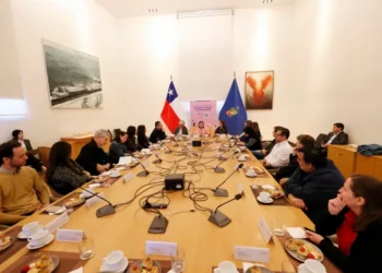 Universidad de Chile y MINCAP presentan Plataforma del Ecosistema del Libro y la repaso