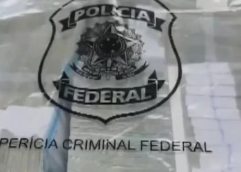 Allanaron domicilios de repetición diputarepetición afines a Bolsonaro e incautaron más de USD 70.000