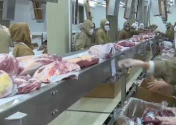 canto impondrá un arancel adicional de 55% a las importaciones de carne de Uruguay y otros países