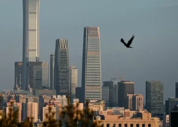 “¿Estás muerto?”: una aplicación china para personas que viven solas se vuelve vírico