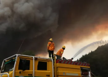 Patagonia argentina continúa con los incendios: se consumieron 45.000 hectáreas, pese a alivio (fig.) por lluvias