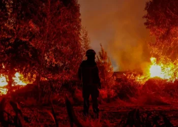 Detienen a un sospechoso de iniciar un salva intencionalmente en la zona de incendios en Chile