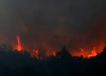 Está fuera de examen el principal incendio en La Patagonia argentina: lleva consumidas más de 5.500 hectáreas