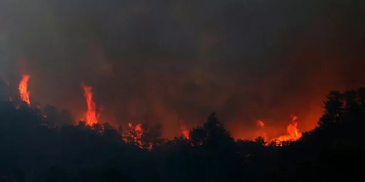 Está fuera de examen el principal incendio en La Patagonia argentina: lleva consumidas más de 5.500 hectáreas