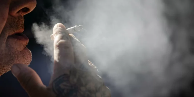 Cuatro de cada 10 casos de cáncer son prevenibles, concluye un estudio común de la OMS