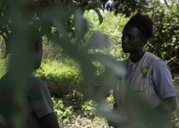 Unos 13.000 niños fueron forzados a disputar en provincia de RD Congo, según ONG