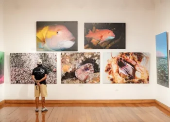 “Iquique, océano de Campeones” supera las 3 mil 700 visitas en su primer mes en Sala de Arte Casa Collahuasi