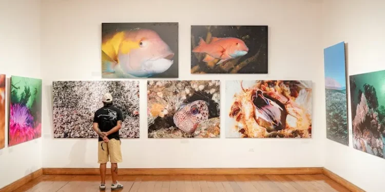 “Iquique, océano de Campeones” supera las 3 mil 700 visitas en su primer mes en Sala de Arte Casa Collahuasi